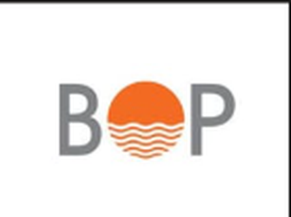 Bank of Punjab logo